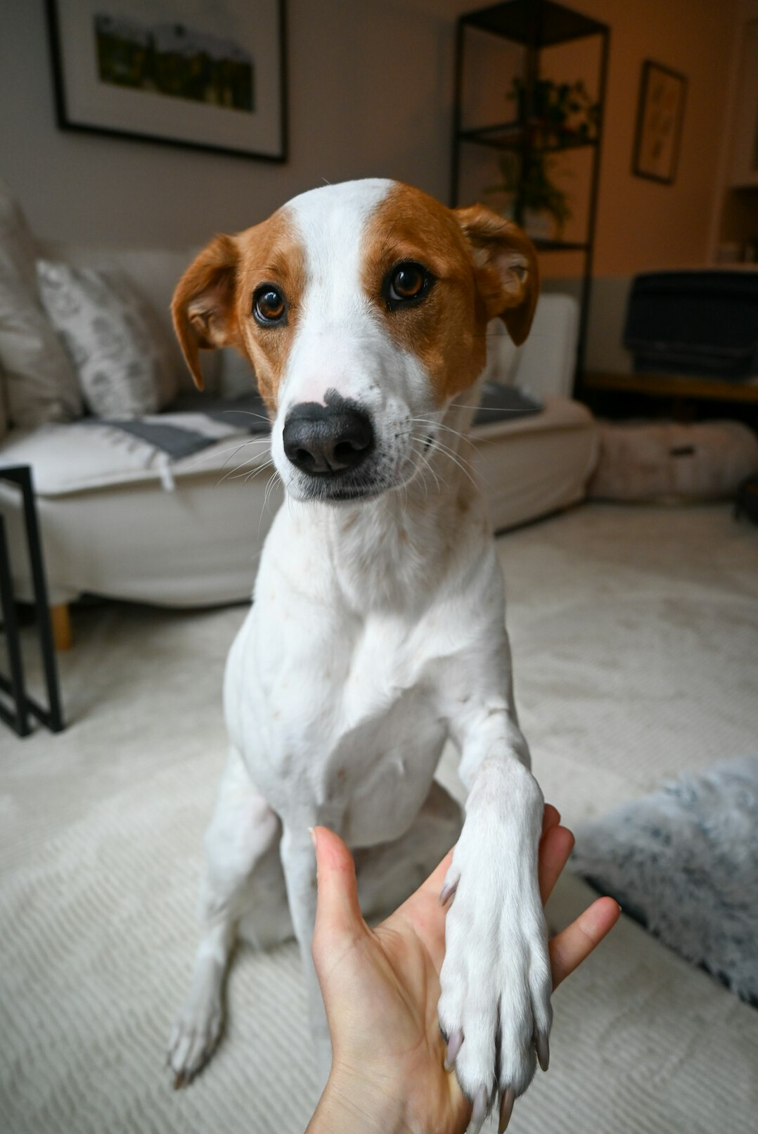 Business partners shaking hands in an office